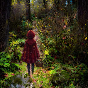 The Walker of Quiet Paths by Sandy Brown Jensen