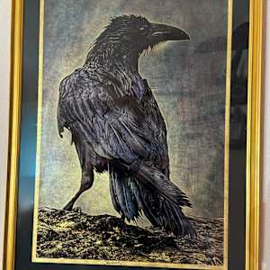 Obsidian Gold by Sandy Brown Jensen  Image: Obsidian Gold
