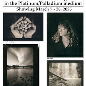 A Call to the Wild by Sandy Brown Jensen, Image 2.