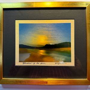 Shadow of the Sun by Sandy Brown Jensen  Image: Shadow of the Sun