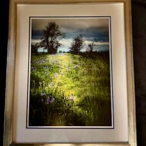 That Mystic Road 3066 by Sandy Brown Jensen  Image: That Mystic Road