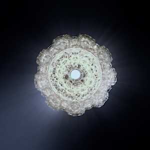 Allium 189 by Bao-Khang Luu 