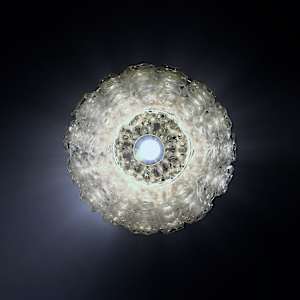 Helianthus 165 by Bao-Khang Luu 