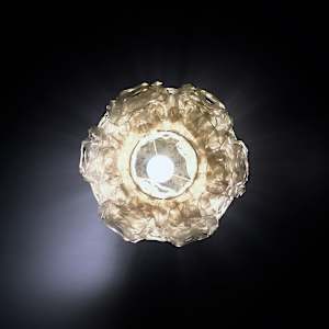 Hypogaea 229 by Bao-Khang Luu 