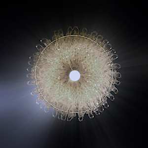 Nelumbo 252 by Bao-Khang Luu 