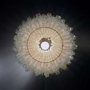 Nelumbo 432 by Bao-Khang Luu 