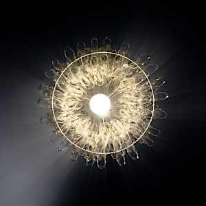 Nelumbo 96 by Bao-Khang Luu 