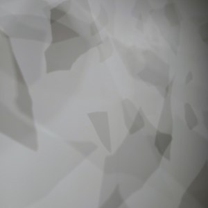 Whispering Shapes by Lisa Horlander 