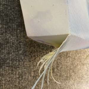 Nudge by Lisa Horlander 