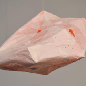 Node 20 by Lisa Horlander 