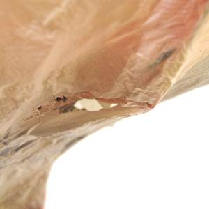 Node 18 by Lisa Horlander 