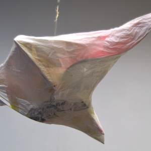 Node 18 by Lisa Horlander 