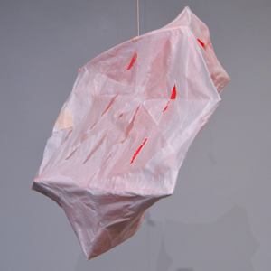 Node 14 by Lisa Horlander 