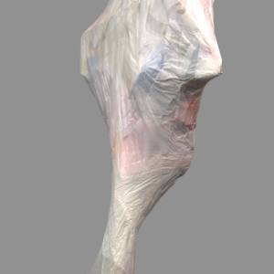 A bone to pick by Lisa Horlander 