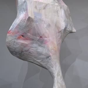 A bone to pick by Lisa Horlander 