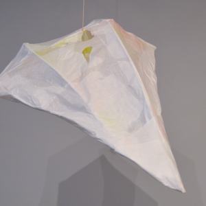 Node 1 by Lisa Horlander 