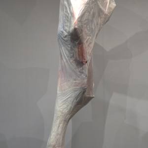 A bone to pick by Lisa Horlander 