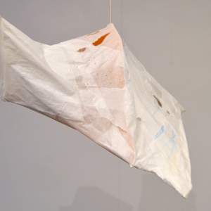 Node 8 by Lisa Horlander 