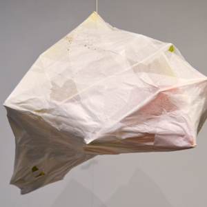 Node 10 by Lisa Horlander 