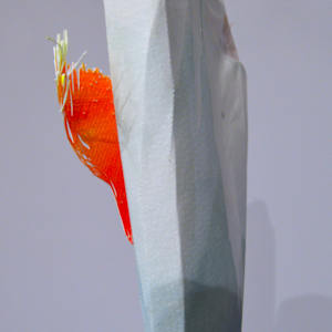 Inner Monologue by Lisa Horlander 