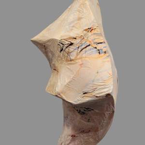 Nascent by Lisa Horlander 