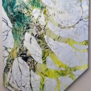 Near Miss by Lisa Horlander 