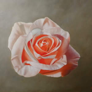 Rose by Peter Thomas Foster