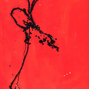 The Aerialist  Image: The Aerialist by BLAZE