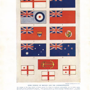 FINE ENSIGNS  Image: The page I was assigned by Art Aviso