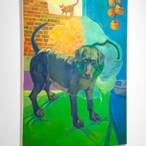 Dog and his skin disease by Xiangni Song 