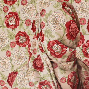 But Not Forgotten by Alayna Coverly