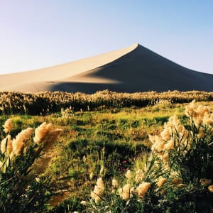 Singing Sands by Jenny Lam