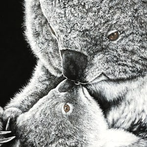 ‘Tender kisses’ - Koala mum and bub by Miriam Gaulton 
