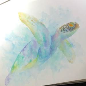 Sea Turtle by Miriam Gaulton 