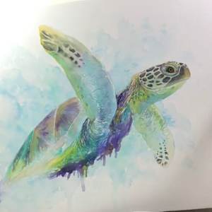 Sea Turtle by Miriam Gaulton 