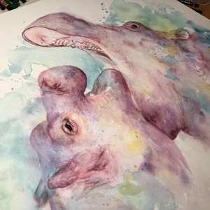 'Hippo Splash' by Miriam Gaulton 