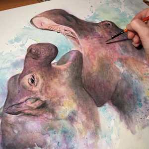 'Hippo Splash' by Miriam Gaulton 
