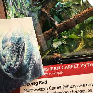 Dark Python by Miriam Gaulton 