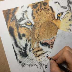 'Untamed' by Miriam Gaulton 