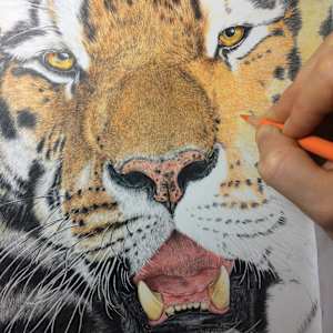 'Untamed' by Miriam Gaulton 
