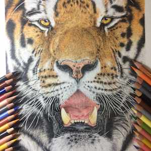 'Untamed' by Miriam Gaulton 