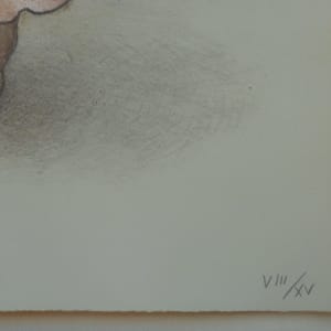 Naomi State II by RC Gorman (Native American (Navajo), 1921-2005) 