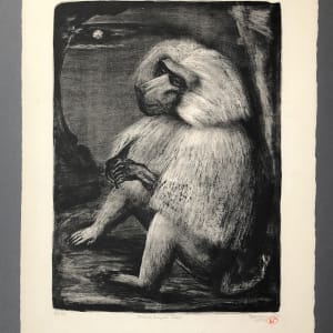 Hamadryas Ape by Benton Spruance - American, 1904-1967 