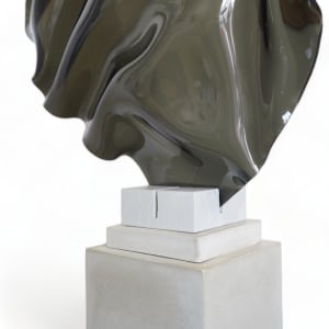Smokey Veil by Cari Cohen 