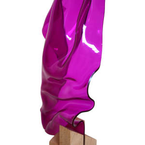 Magenta Metamorphosis II by Cari Cohen 