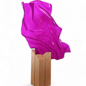 Magenta Metamorphosis II by Cari Cohen 