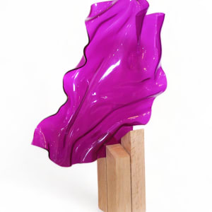 Magenta Metamorphosis II by Cari Cohen 