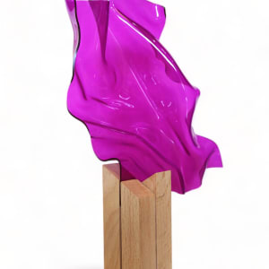 Magenta Metamorphosis II by Cari Cohen