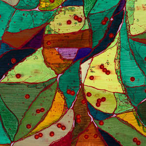 Infusion by Sean McDowell 