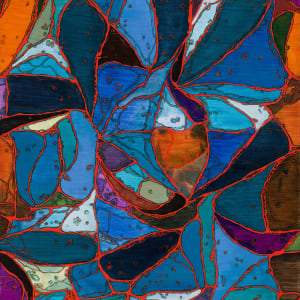 Cytoplasm by Sean McDowell 